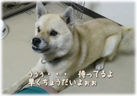 arashi6.jpg