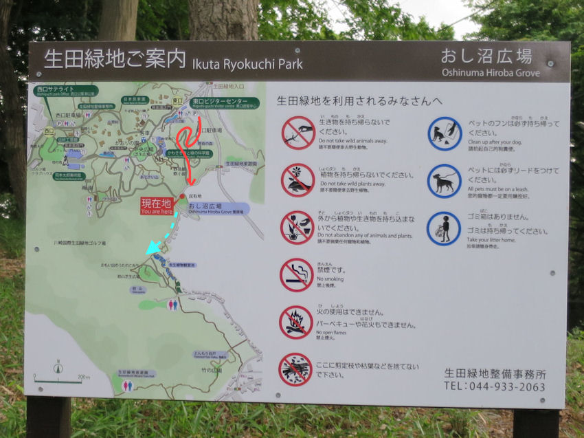 生田緑地に行ってきたよ 全力わんこ