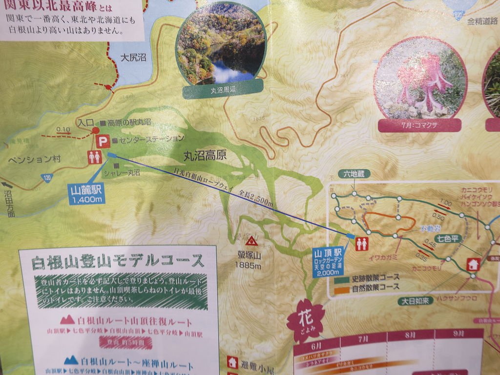 日光白根山ロープウェイに乗って丸沼高原を歩いたよ 全力わんこ 日光白根山ロープウェイに乗って丸沼高原を歩いたよ 全力わんこ