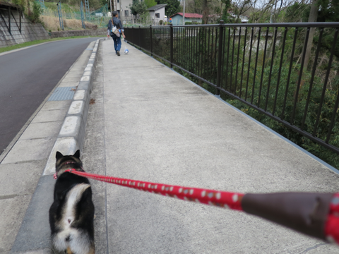 遊歩道は