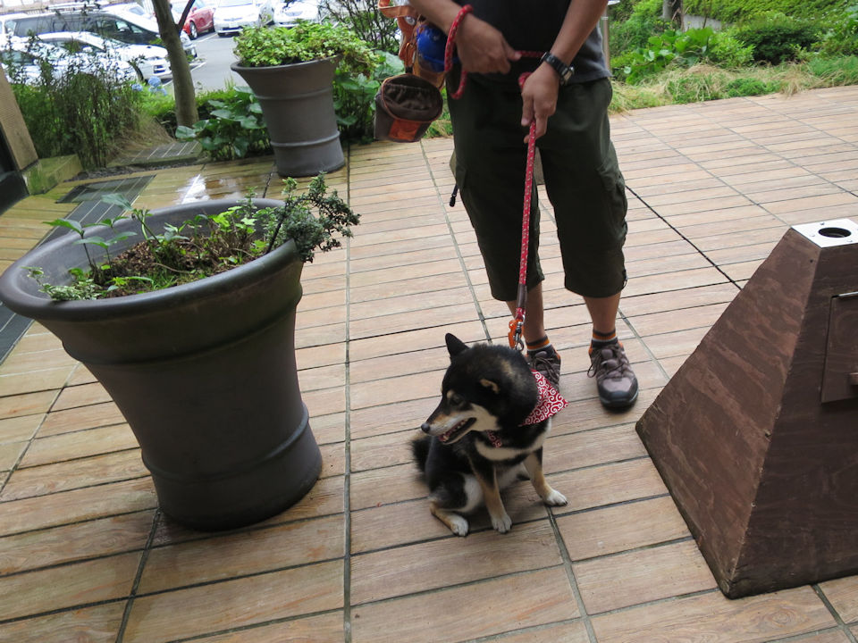 箱根芦ノ湖でランチとピクニック だよ 全力わんこ