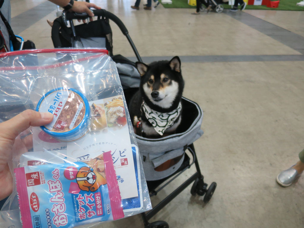 バギーバッグをつけてイベントにお出かけしたよ 全力わんこ