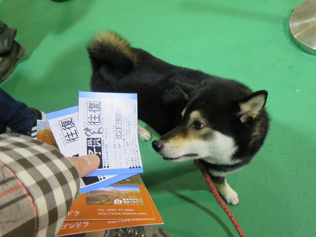 秋の那須で紅葉探し その１ 那須ゴンドラに乗ってハイキング 全力わんこ