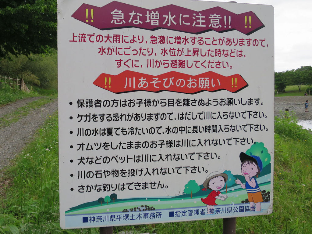 秦野戸川公園でわんこ水遊びエリアを発見 全力わんこ 秦野戸川公園でわんこ水遊びエリアを発見 全力わんこ