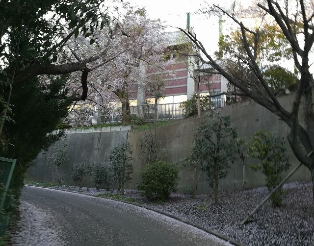 kouhoku4
