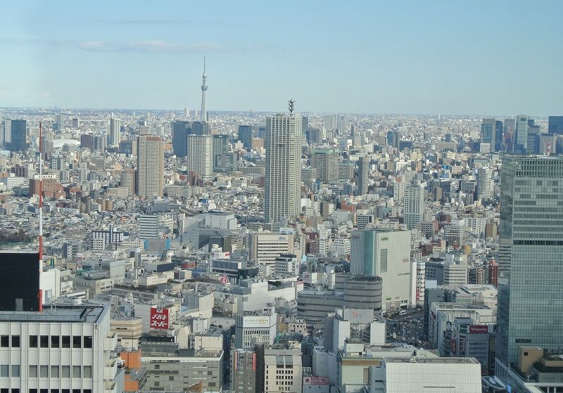 東京都庁展望台見学は 南が好き 中国人や韓国人で混雑している45階まであっという間だよ 発達障害adhdしばご 株で生きてく