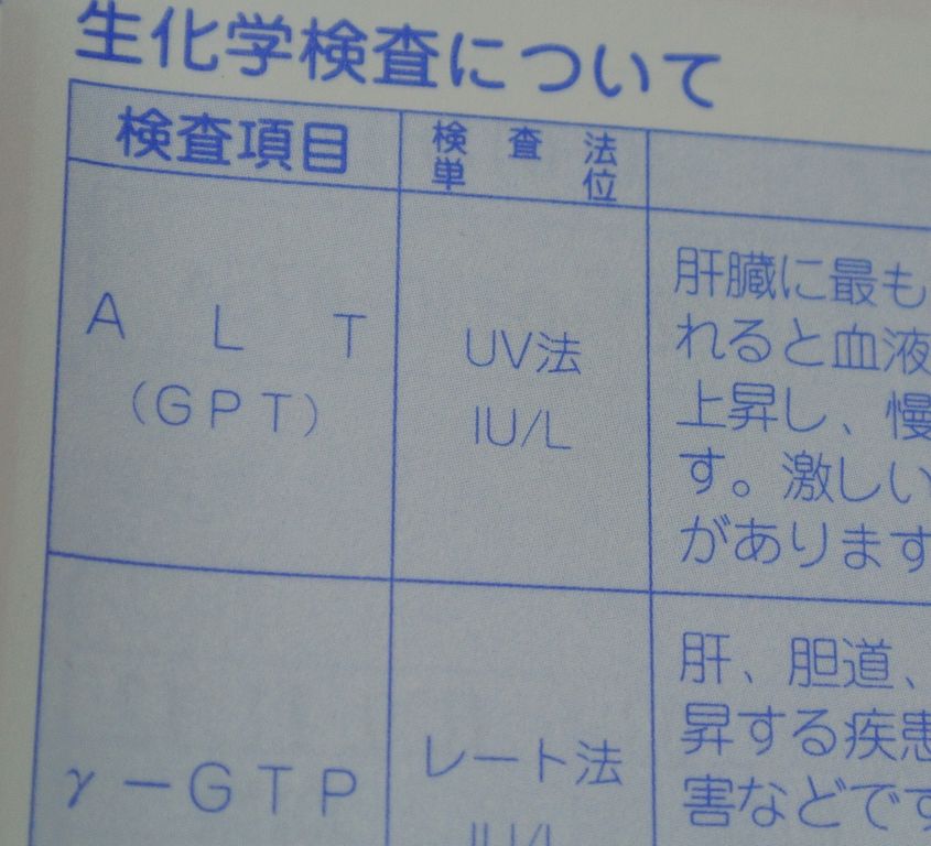高い γ gtp