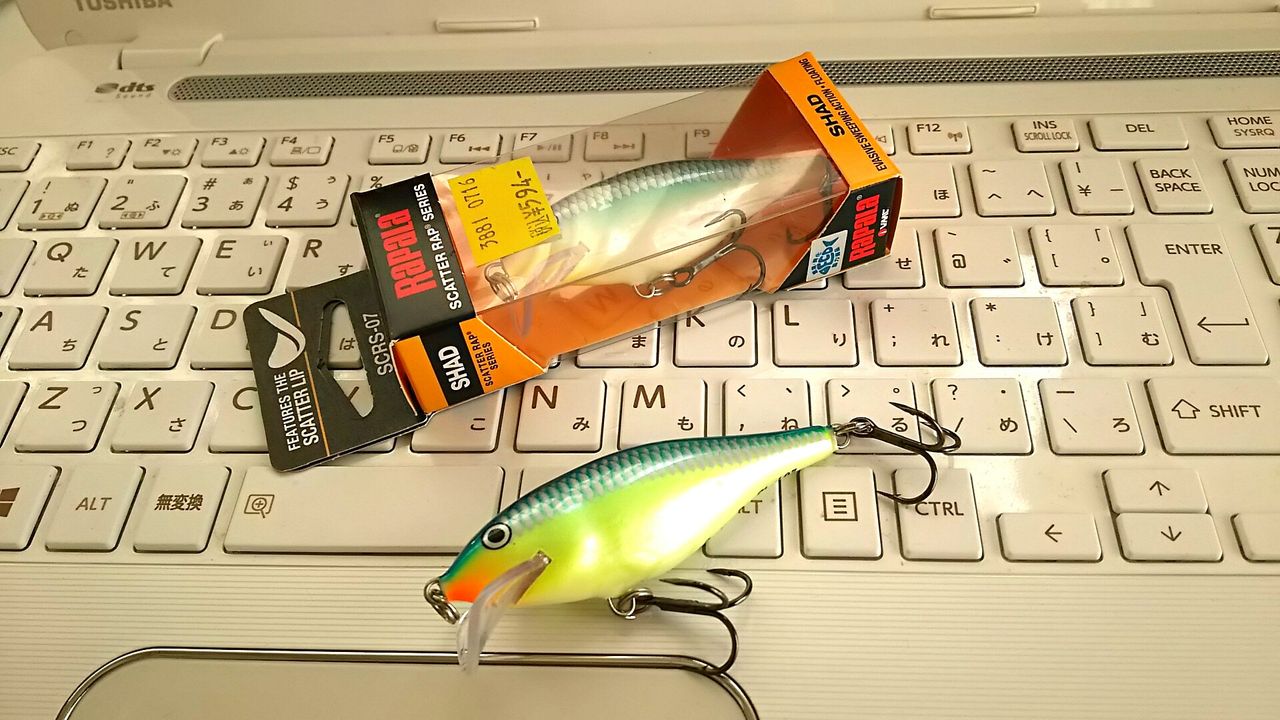 来年に向けてシーバスルアーを購入 プライアルルアーも買ってみたよ Que Sera Sera Fishing Diary 来年に向けてシーバスルアーを購入 プライアルルアーも買ってみたよ Que Sera Sera Fishing Diary