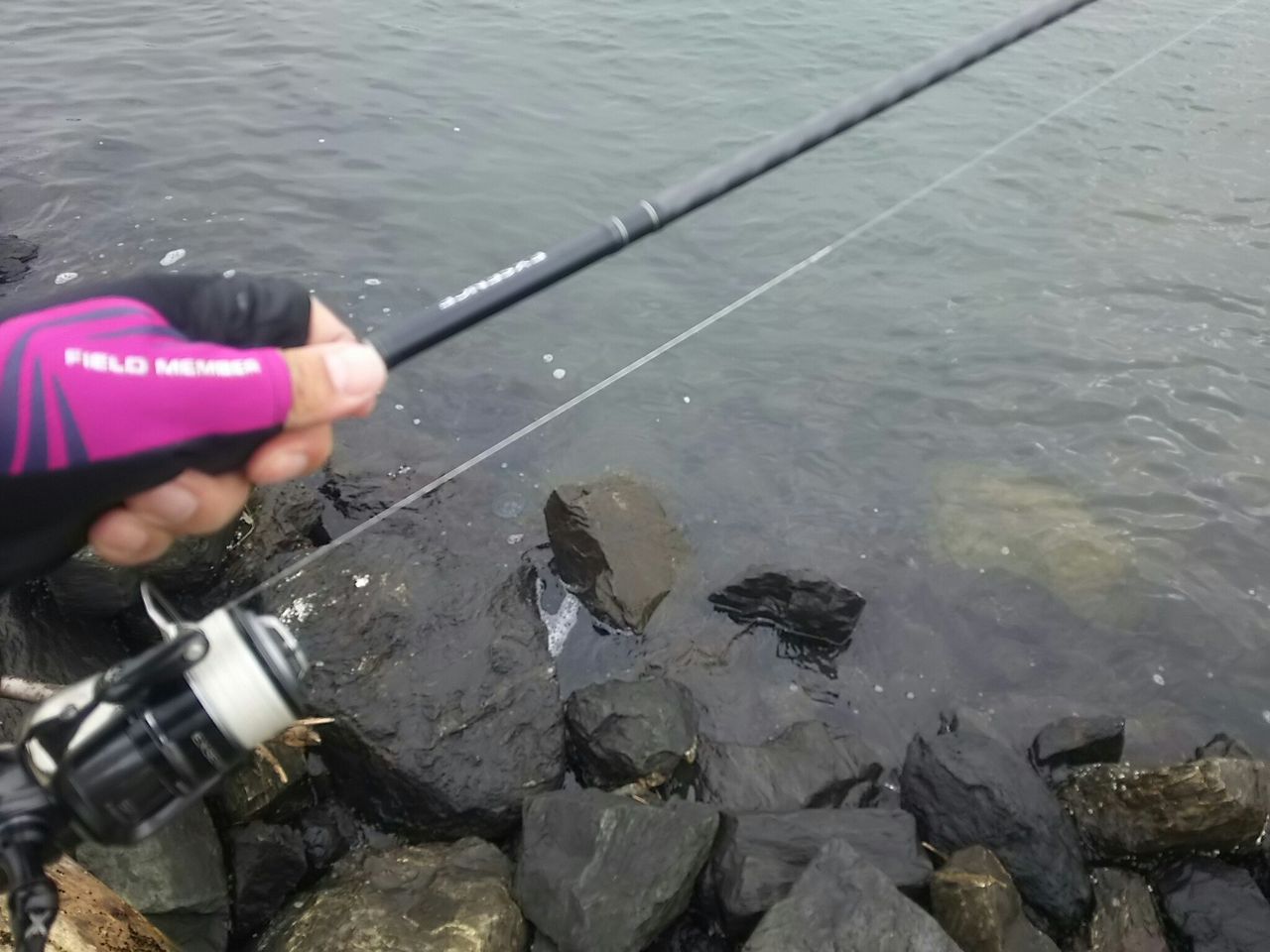 Newラインシステム導入の追記 Que Sera Sera Fishing Diary