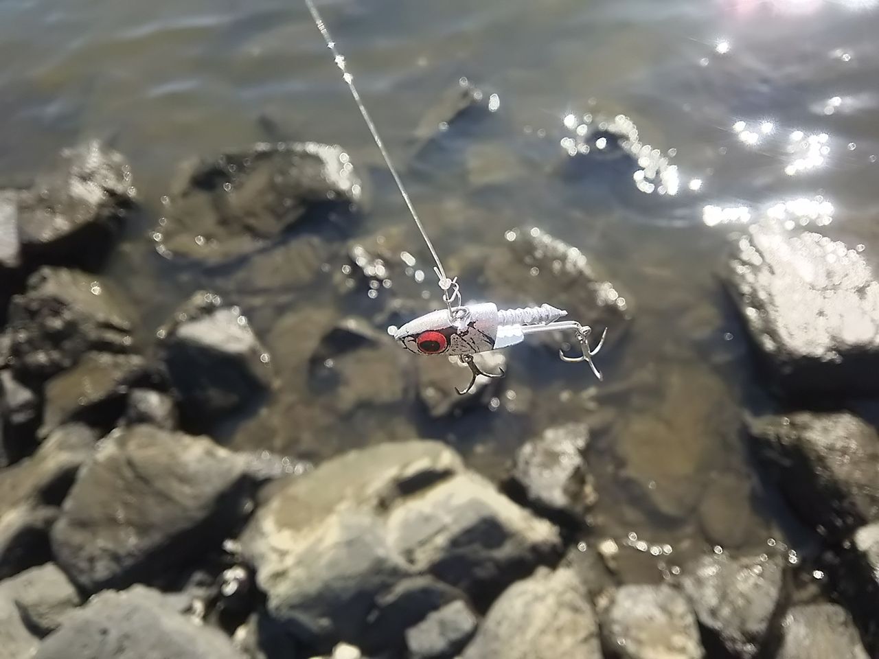 シーバス釣行記 荒川河口右岸 16 5 18 Que Sera Sera Fishing Diary シーバス釣行記 荒川河口右岸 16 5 18 Que Sera Sera Fishing Diary