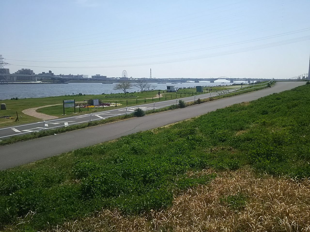 荒川河口シーバス 使いたくはなかったけれど禁断のルアーでセイゴをキャッチ Que Sera Sera Fishing Diary 荒川河口シーバス 使いたくはなかったけれど禁断のルアーでセイゴをキャッチ Que Sera Sera Fishing Diary