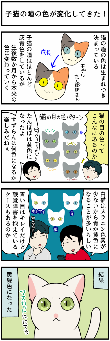 20210615目の色1