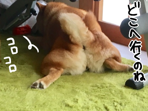 olhvj0nc