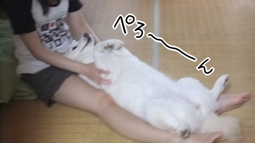 q3a0t3p0