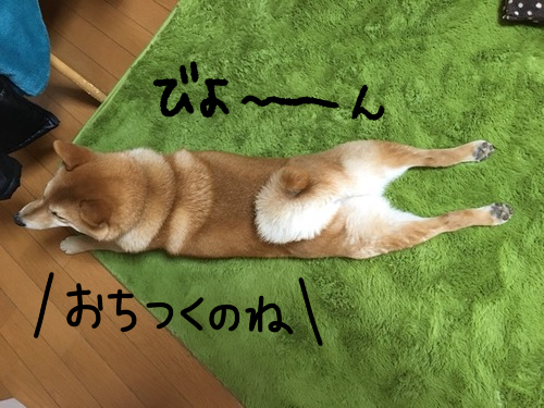 yosnr0z6