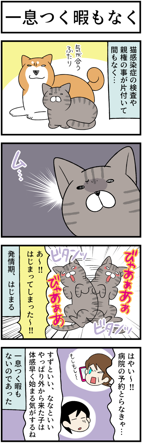 20220820一息つく暇もなく1