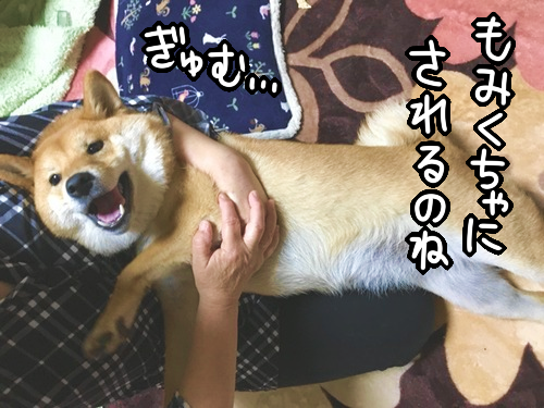 fqj5xizh