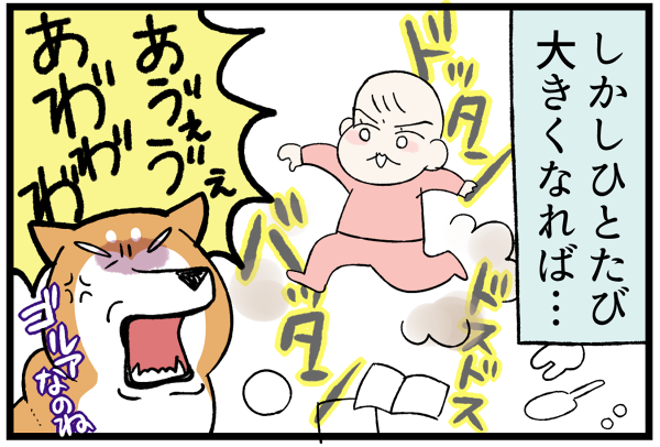 20260910作法にきびしば2