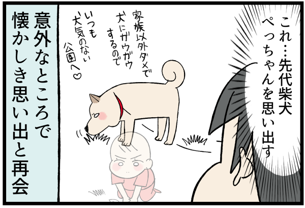20260626懐かしい思い出4