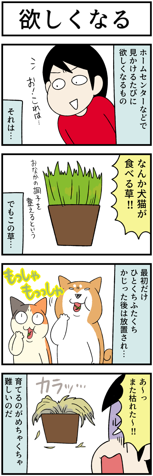 20231019欲しくなるもの1