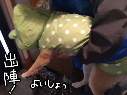 077hkjnt