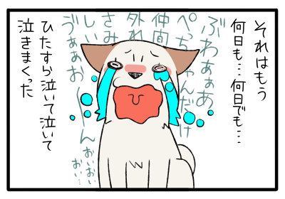6.png