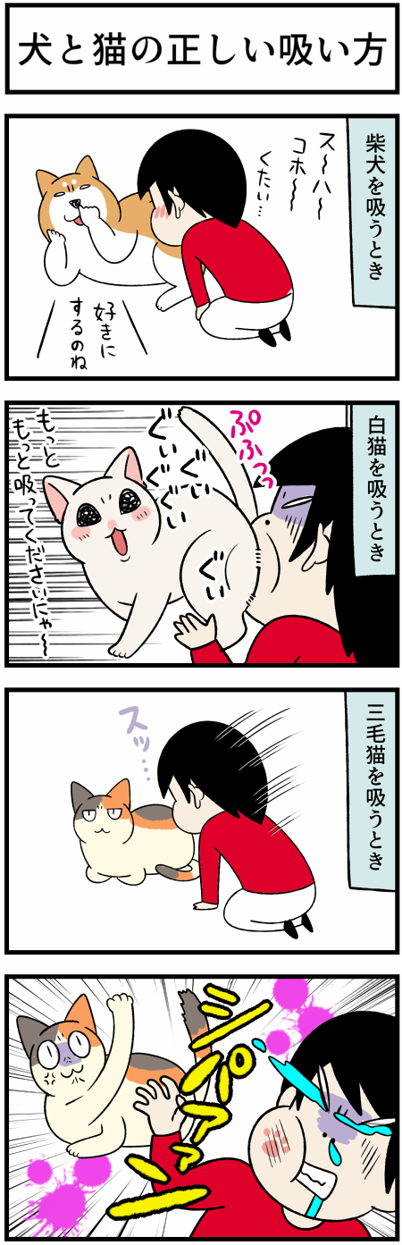 20211107犬猫の吸い方1