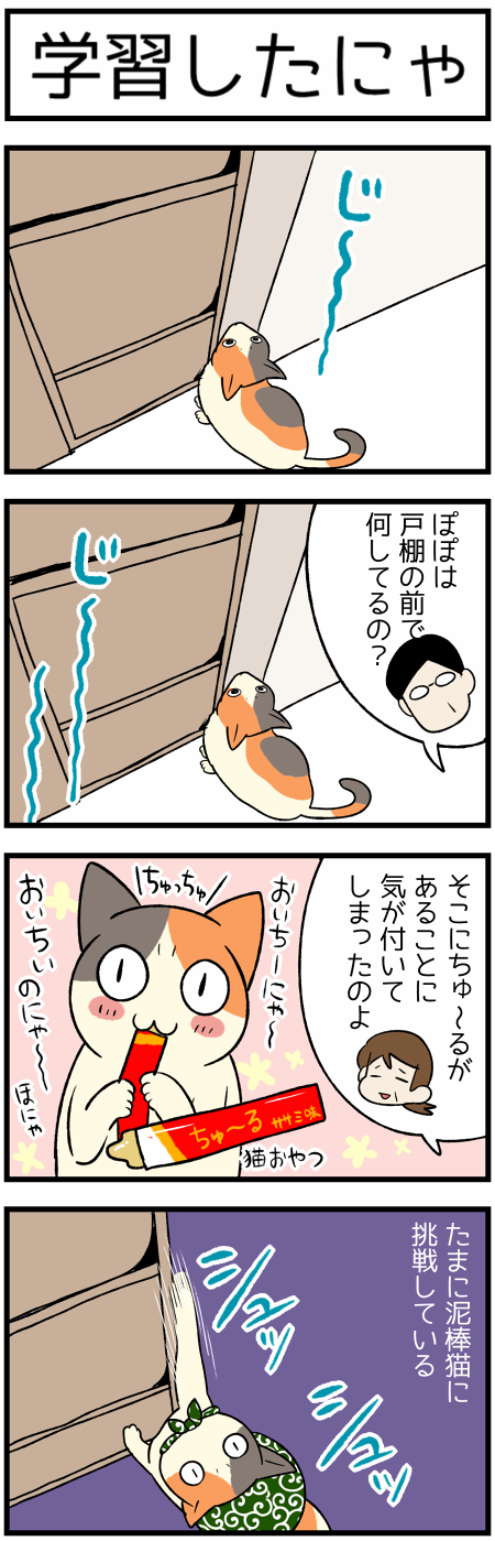 20200711泥棒猫1