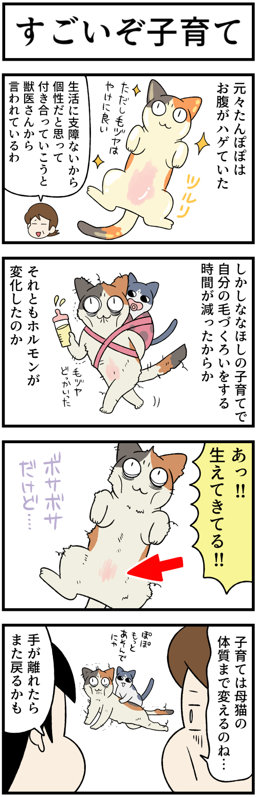 20220512ホルモンの変化1