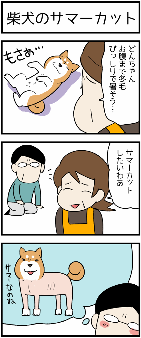20190817サマーカット1