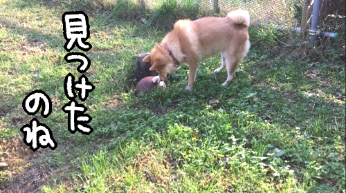 ar4wmvv6