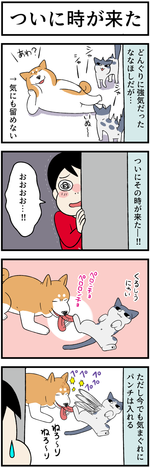 20220527ついにその時1