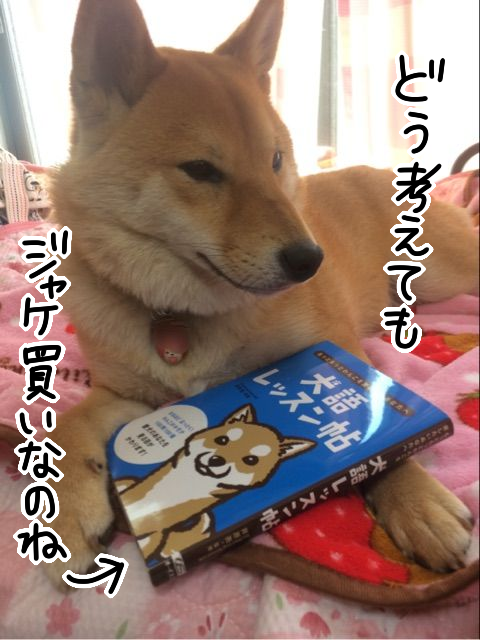 9ynqjxkr