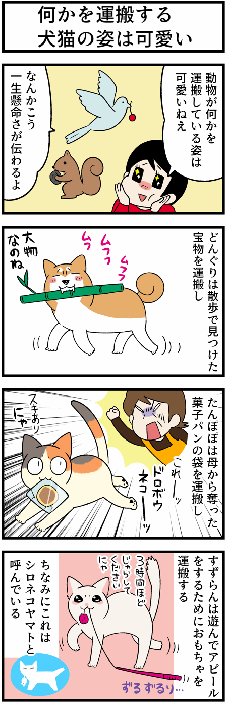 20210810シロネコヤマト1