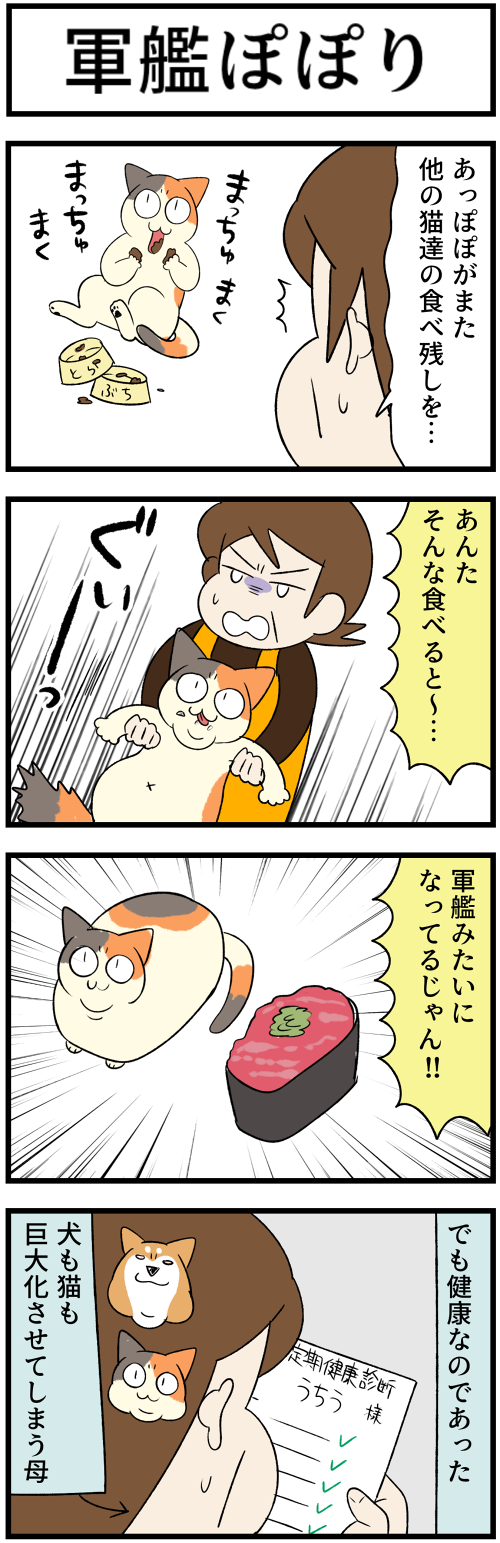 20230907軍艦1
