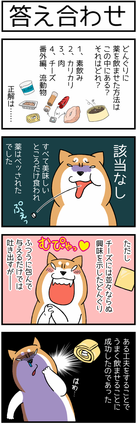 薬を色々な食べ物に包んで飲ませようとした時の柴犬の反応 柴犬どんぐり三毛猫たんぽぽ Powered By ライブドアブログ