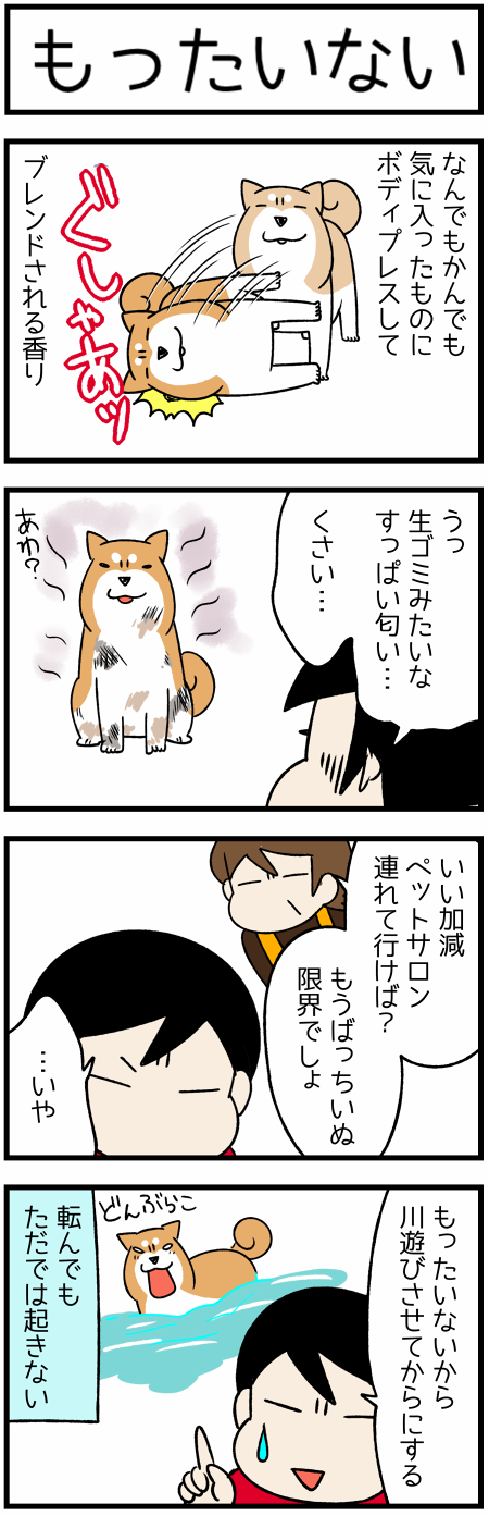 20180804転んでも1