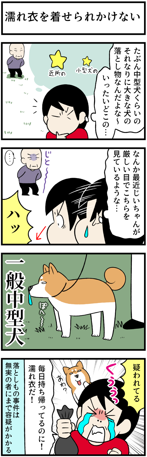 20211210落とし物２1