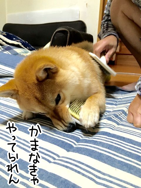 nw7ngubk