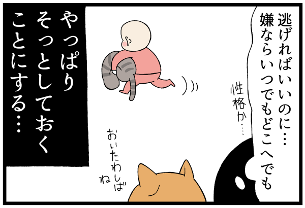 20260929二つ折り猫8