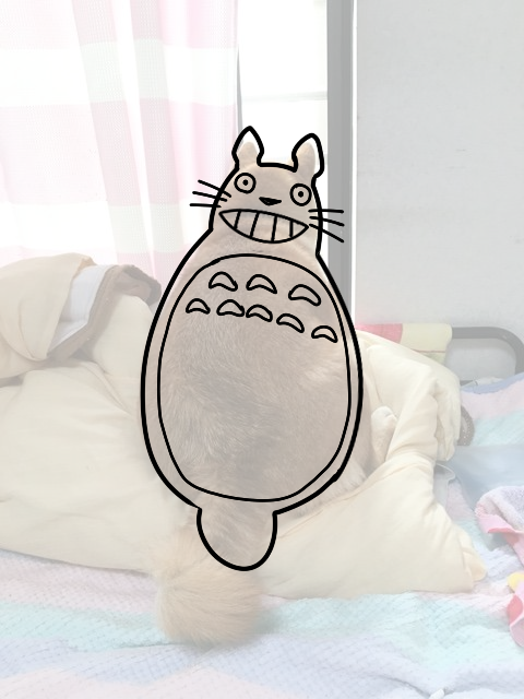 rjxz1ylm２