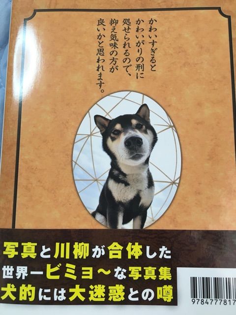 軽い狂気 母が買ってきた 犬川柳 柴犬バカ一代 柴犬どんぐり三毛猫たんぽぽ Powered By ライブドアブログ 軽い狂気 母が買ってきた 犬川柳 柴犬バカ一代 柴犬どんぐり三毛猫たんぽぽ Powered By ライブドアブログ
