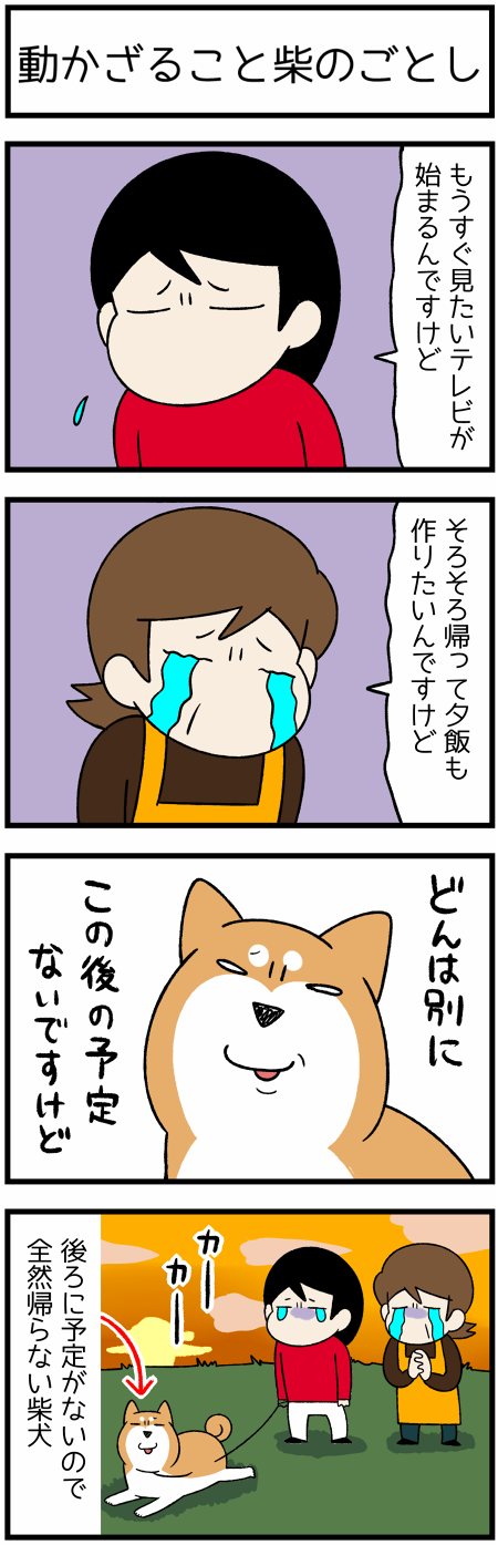 20201030犬の散歩2