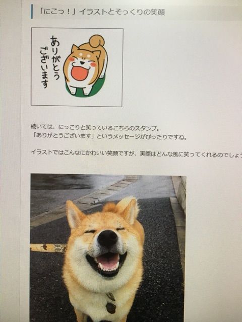 柴犬どんぐりlineスタンプ ブログ特集 柴犬どんぐり三毛猫たんぽぽ Powered By ライブドアブログ 柴犬どんぐりlineスタンプ ブログ特集 柴犬どんぐり三毛猫たんぽぽ Powered By ライブドアブログ