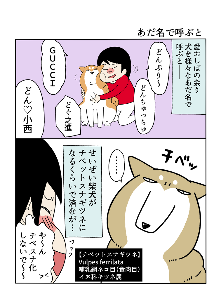20260430チベスナ1
