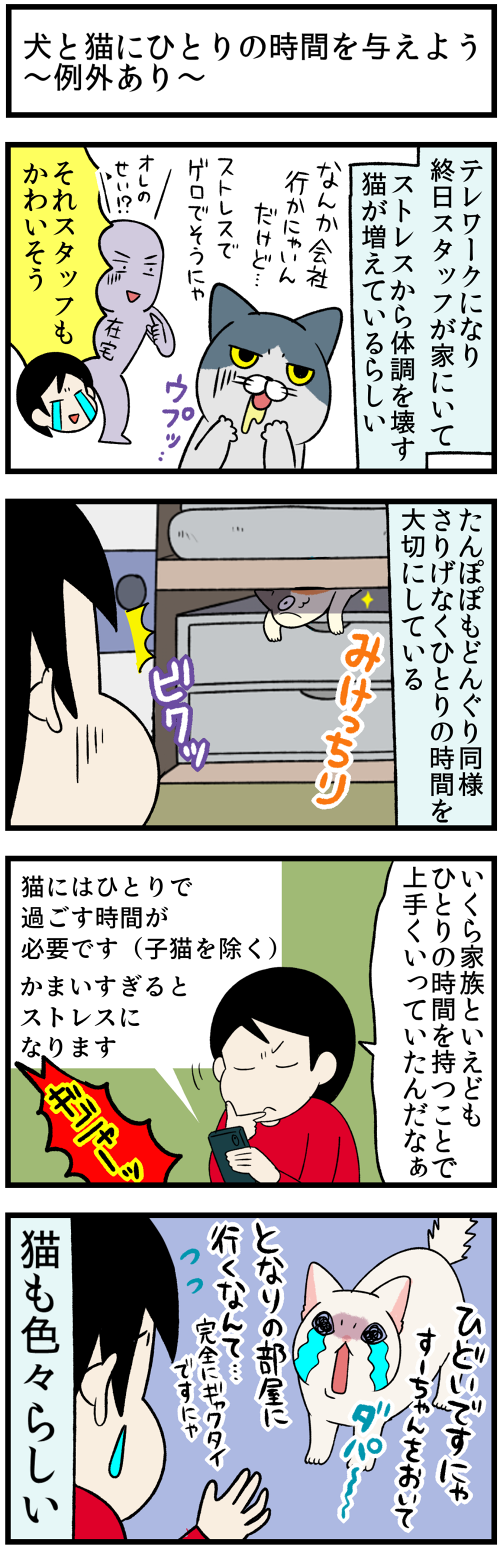 20210910猫ストレス1