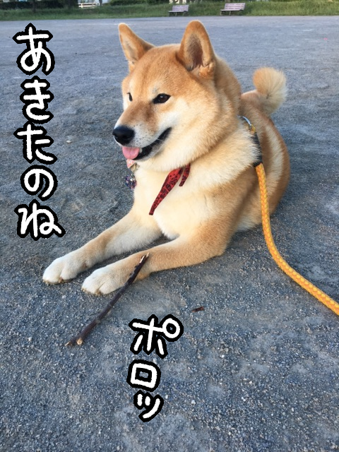vz3zkw6d
