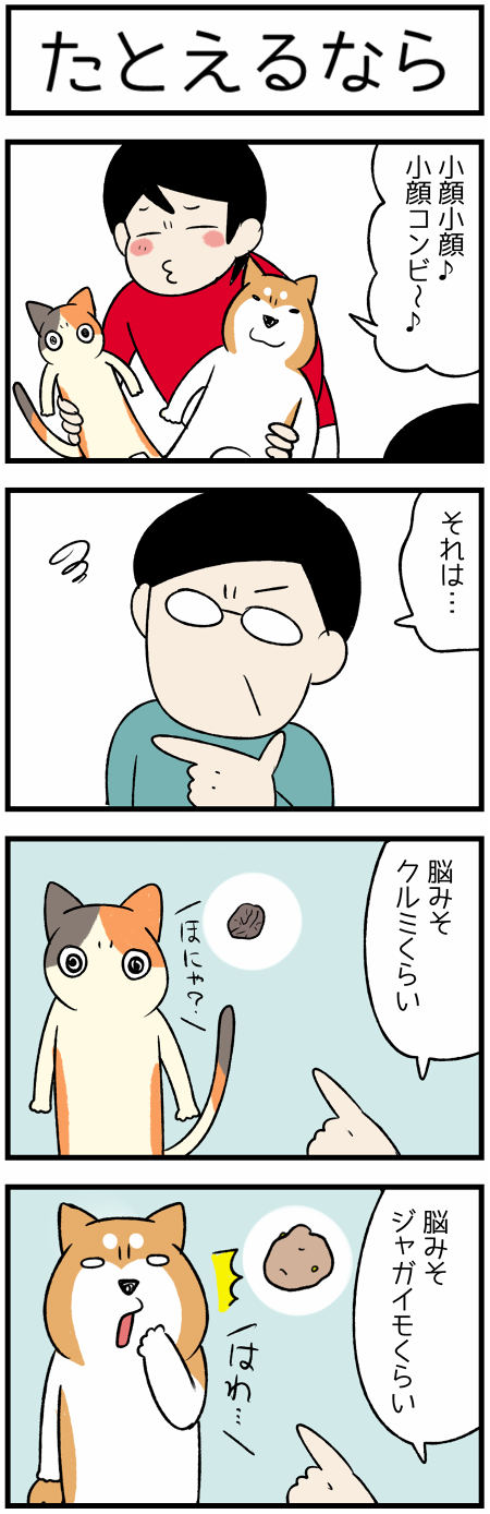 20200601クルミ1