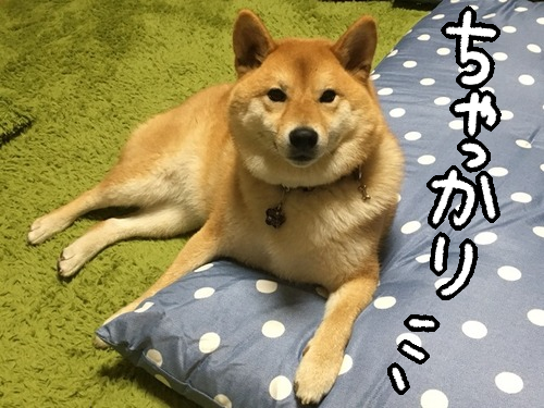 9id5r112