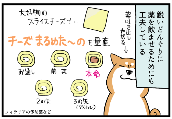 20260703犬と子供の投薬2